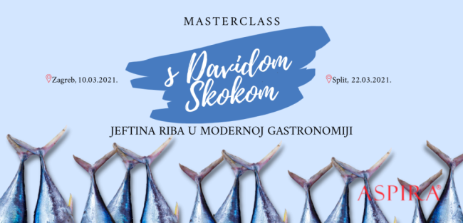 Skoko MASTERCLASS_vizual (Web-mjesto)