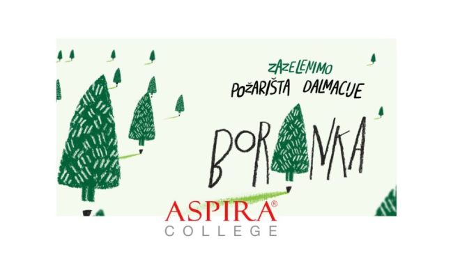 boranka